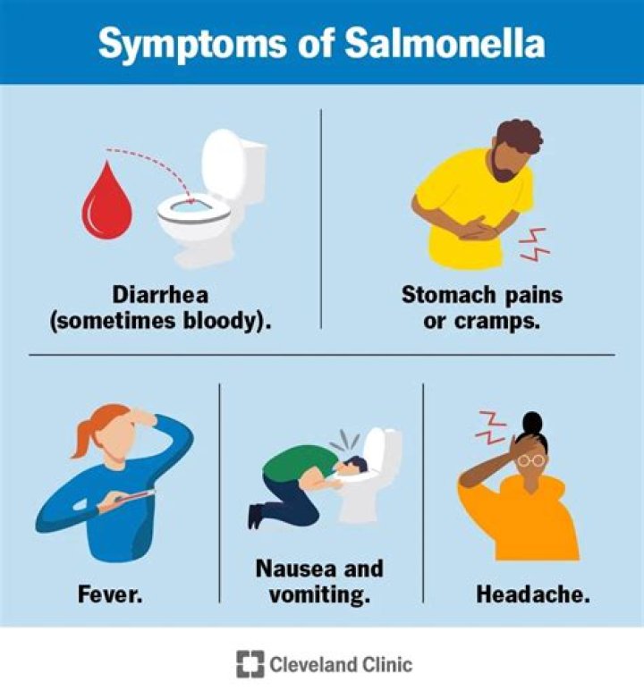 Can salmonella go away on its own?