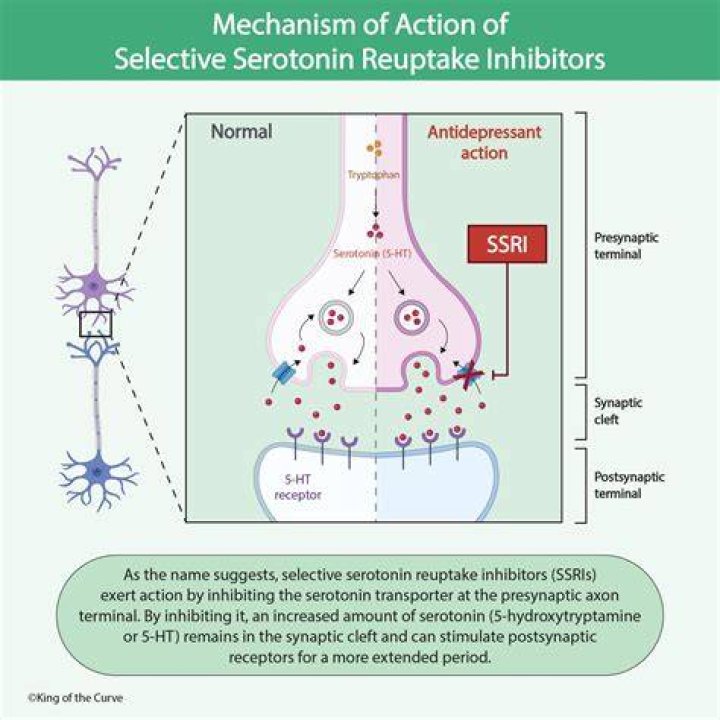Can sertraline work immediately?