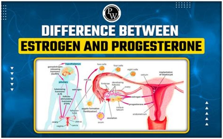 Can taking estrogen and progesterone cause bleeding?