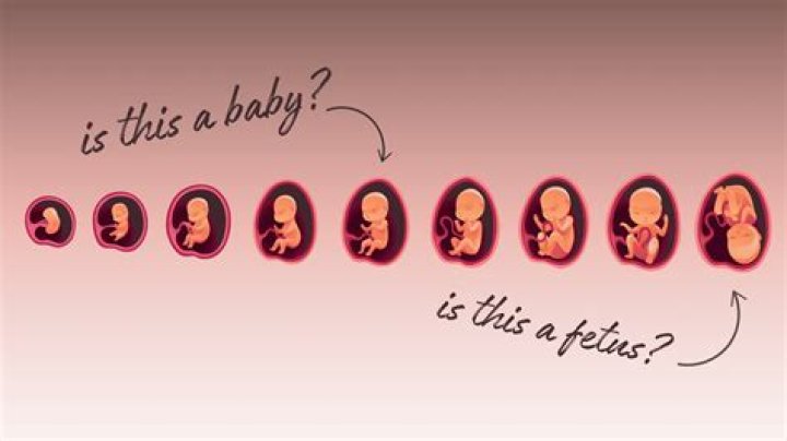 Can the fetus taste what the mom eats?