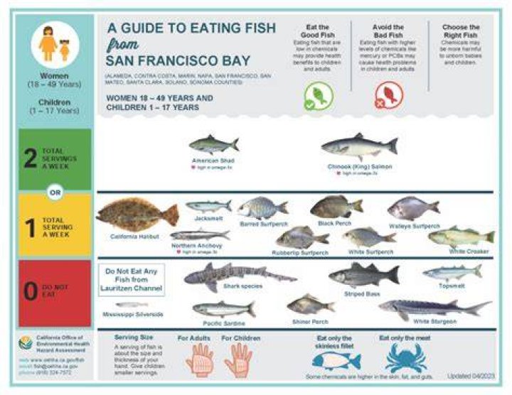 Can u eat fish everyday?