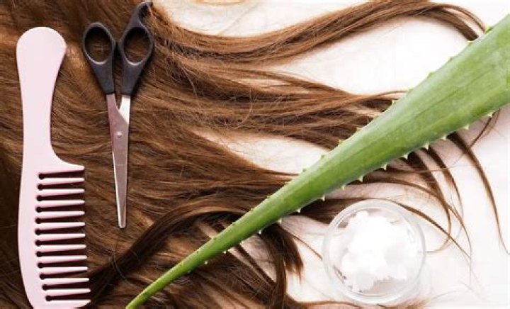 Can we apply aloe vera on hair?