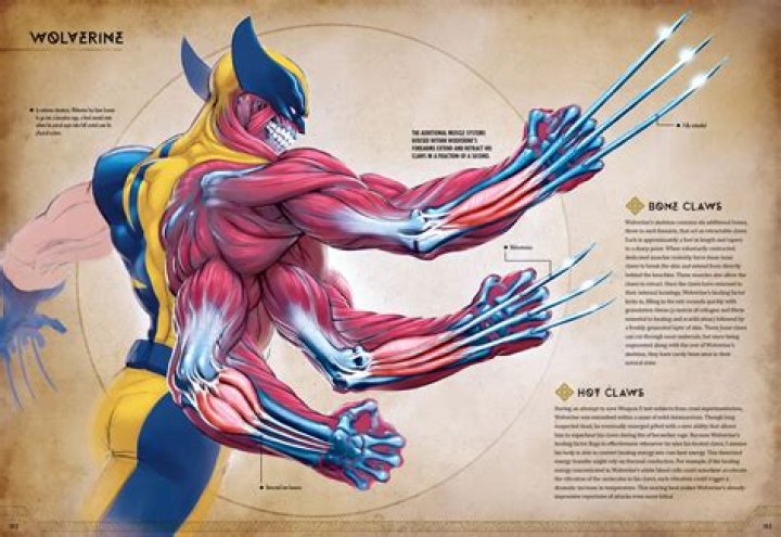 Can Wolverine regrow limbs?