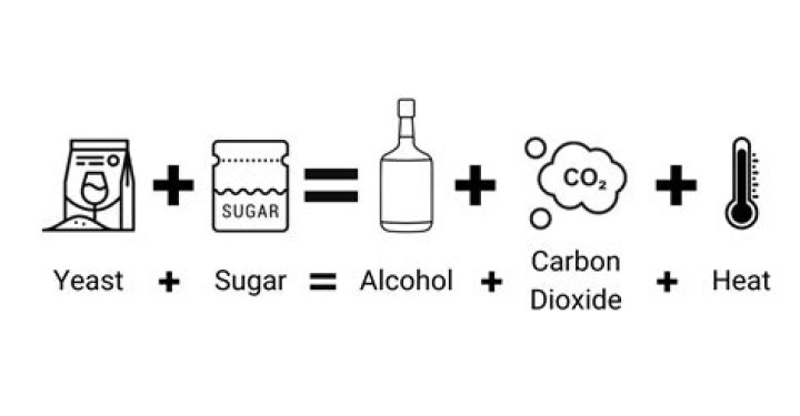 Can yeast and sugar make methanol?