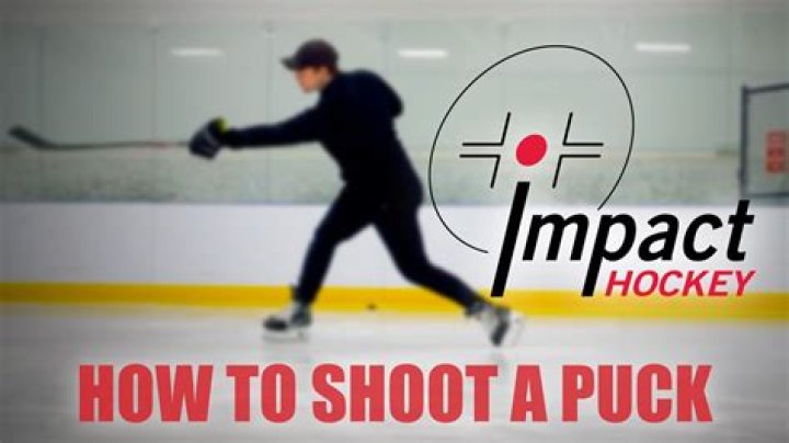 Can you bring a hockey puck on a plane?