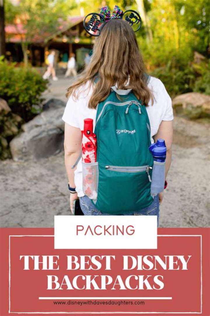 Can you bring backpack into Disney?