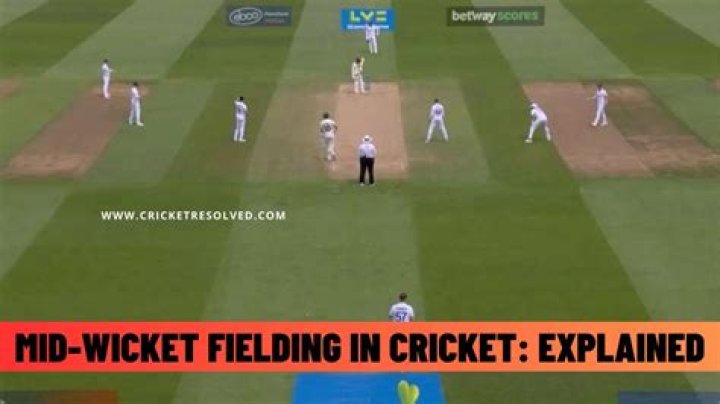 Can you cover the wicket in cricket?
