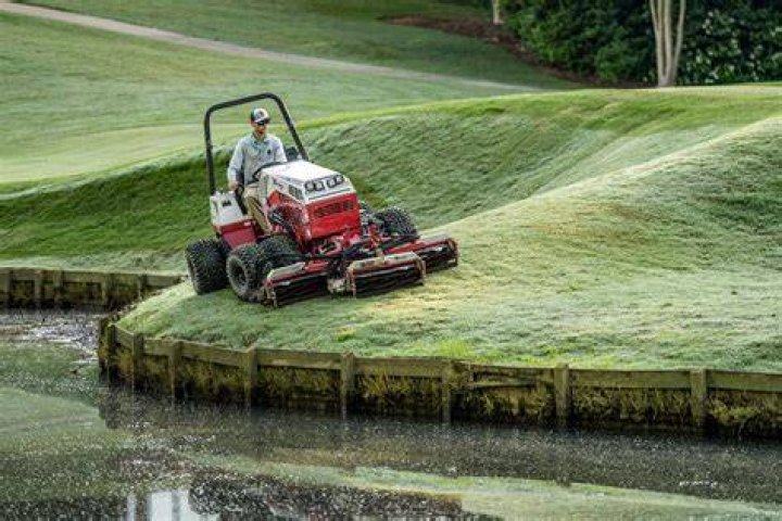 Can you cut zoysia grass with a reel mower?