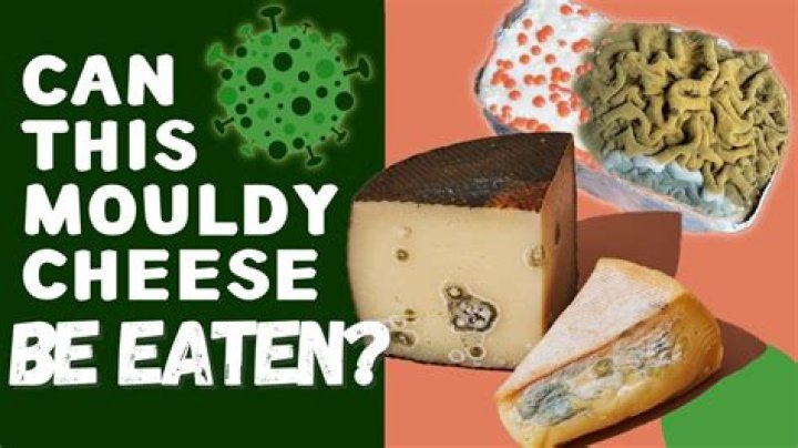 Can you eat cheese if you have gout?
