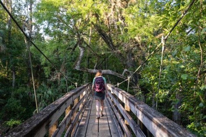 Can you fish at Hillsborough State Park?