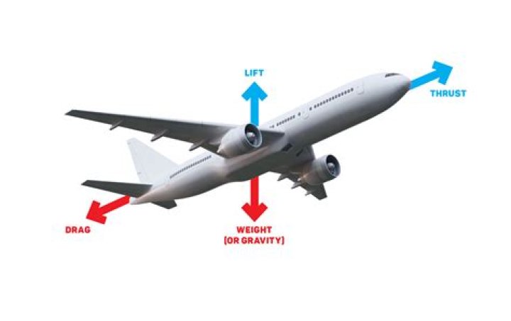 Can you fly with a violin?