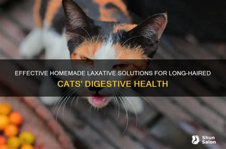 Can you give cats human laxatives?