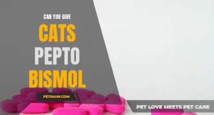Can you give cats Pepto?