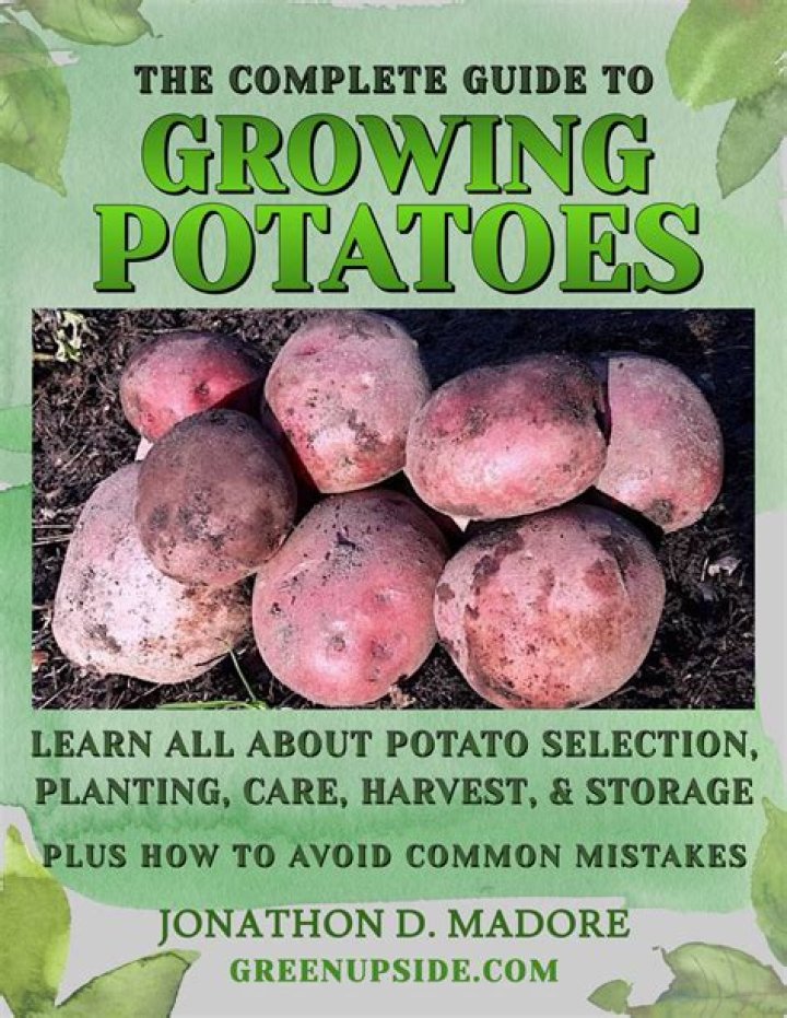 Can you grow potatoes in straw bales?