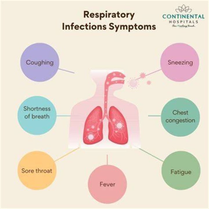 Can you have a chest infection without a fever?