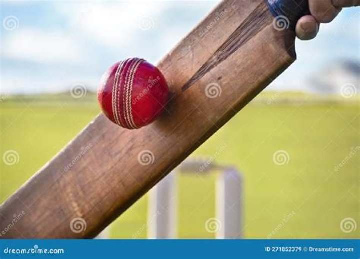 Can you kick the ball in cricket?