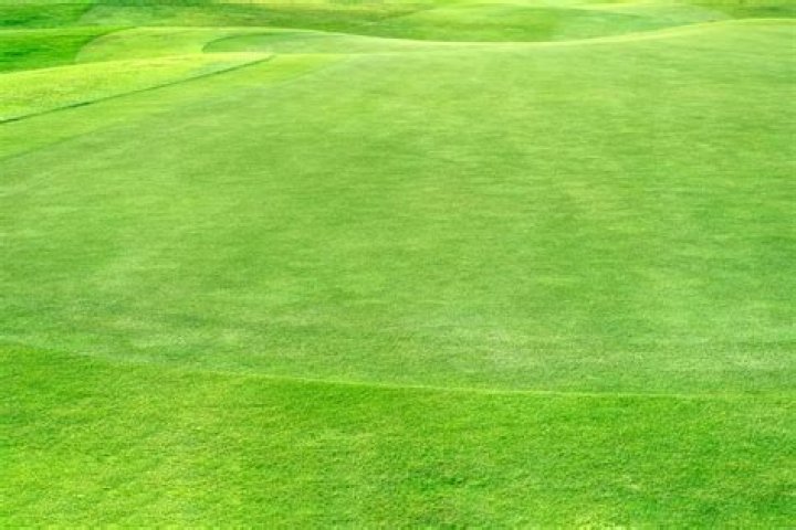 Can you lay down on a golf green?
