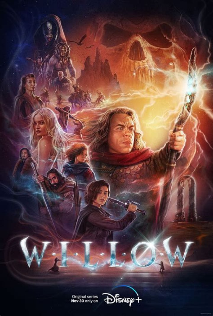 Can you move willow?