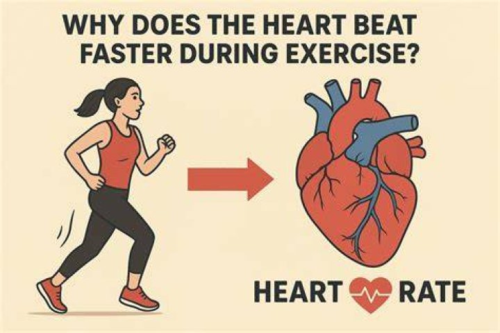 Can you overwork your heart during exercise?