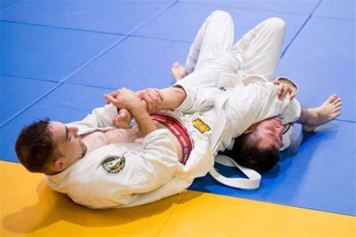 Can you punch in Brazilian Jiu Jitsu?