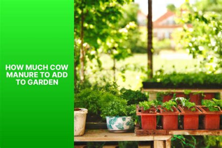 Can you put too much cow manure in your garden?