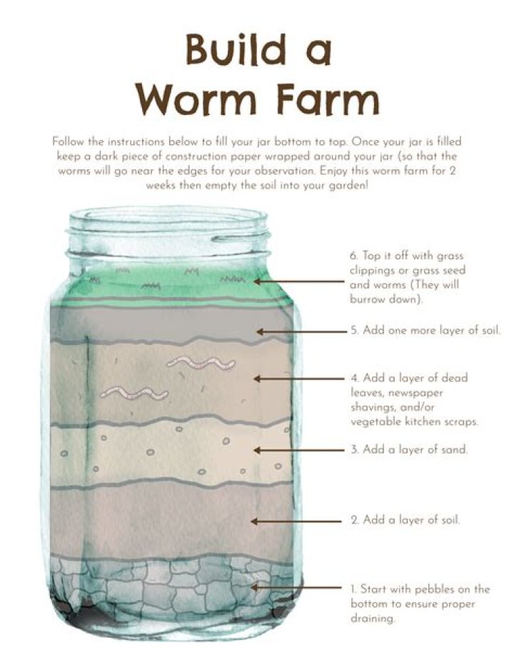 Can you rehydrate a worm?