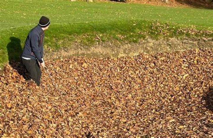 Can you remove leaves from the green golf?