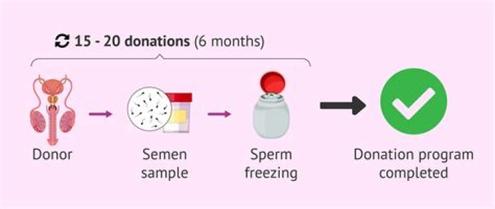 Can you see a photo of your sperm donor?