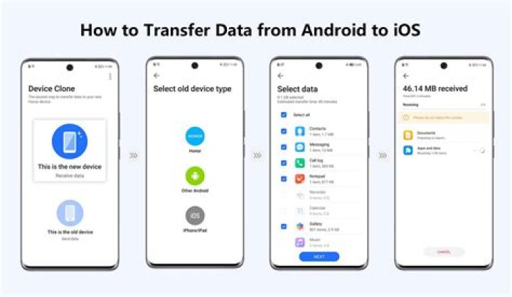 Can you transfer Mo nice data?
