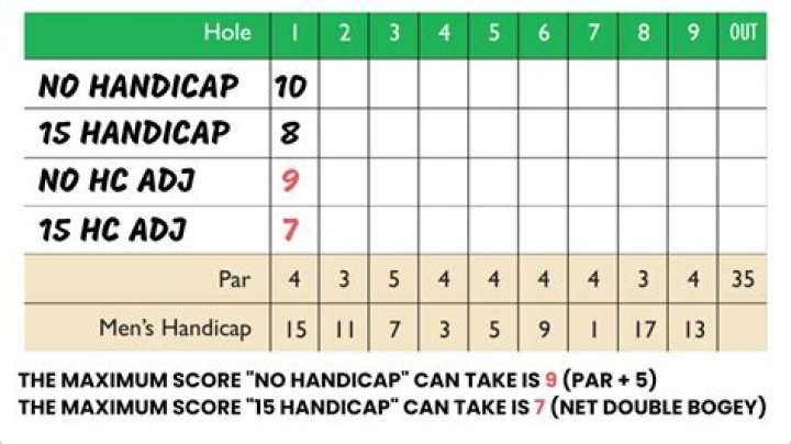 Can you use 9 holes for handicap?