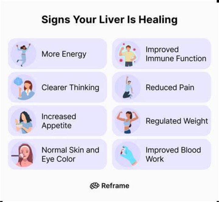 Can your liver heal itself?