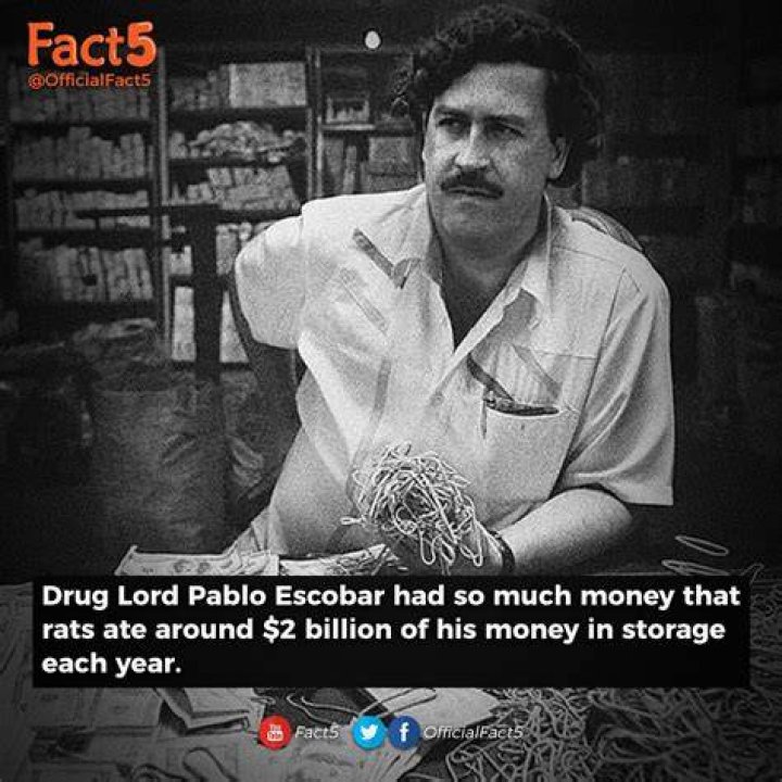 Did Pablo Escobar have any money left?