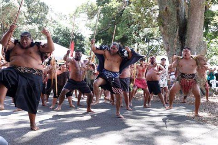 Do all New Zealanders speak Māori?