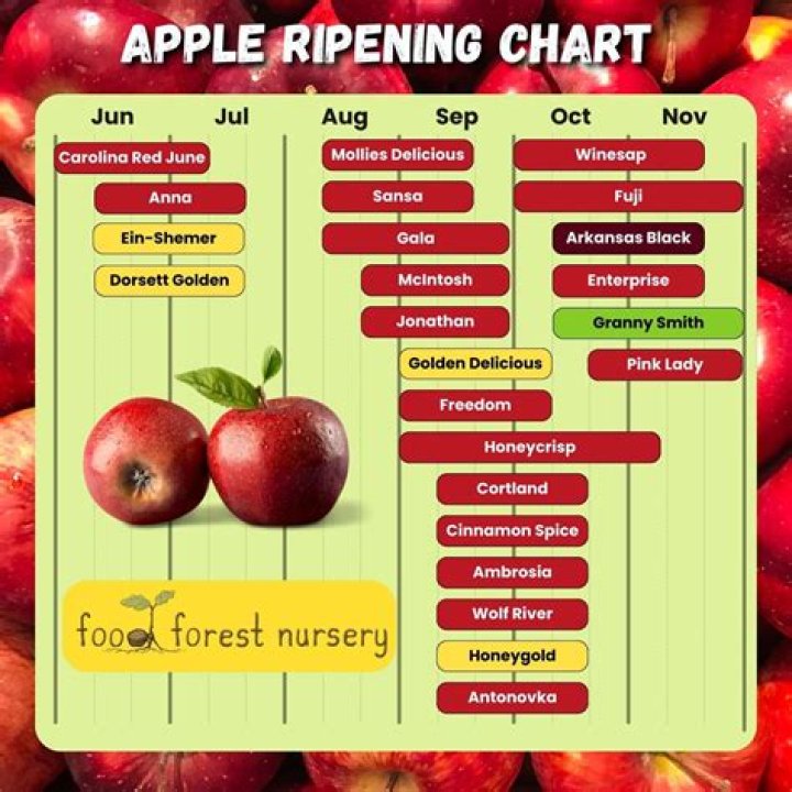 Do apples grow in Hawaii?