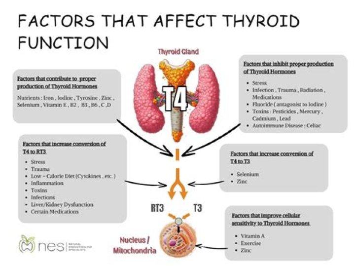 Do B vitamins affect thyroid?