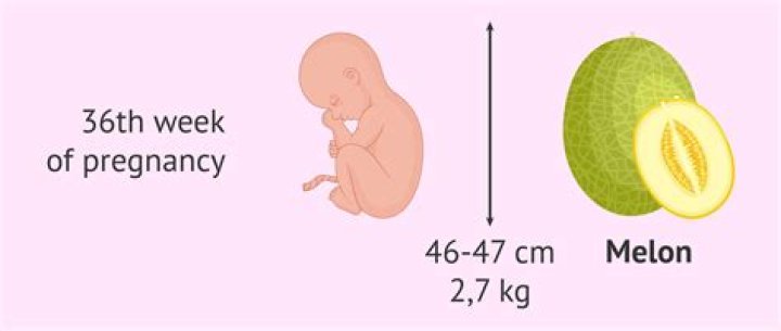 Do babies born at 36 weeks develop slower?
