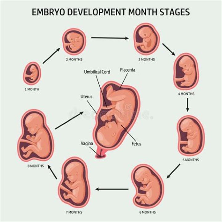 Do babies do somersaults in the womb?