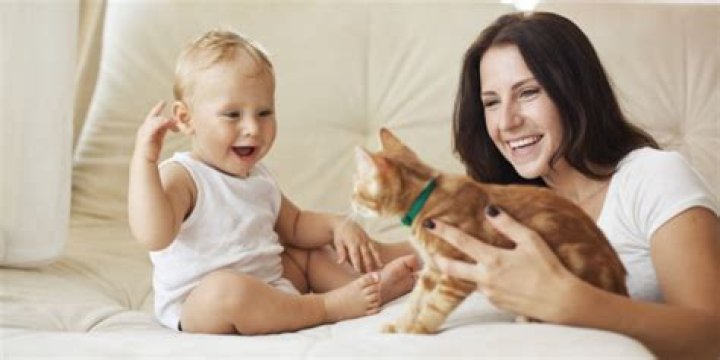Do cats Think of us as parents?