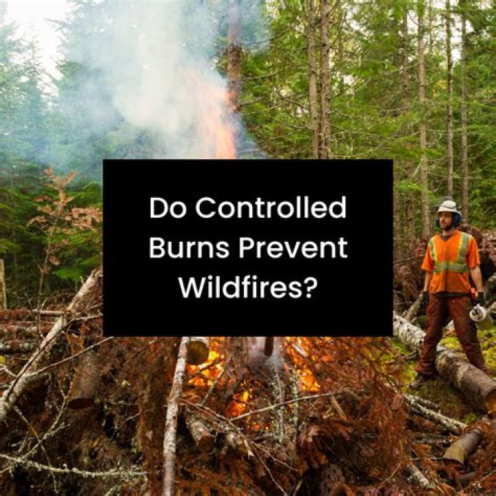 Do controlled burns prevent wildfires?