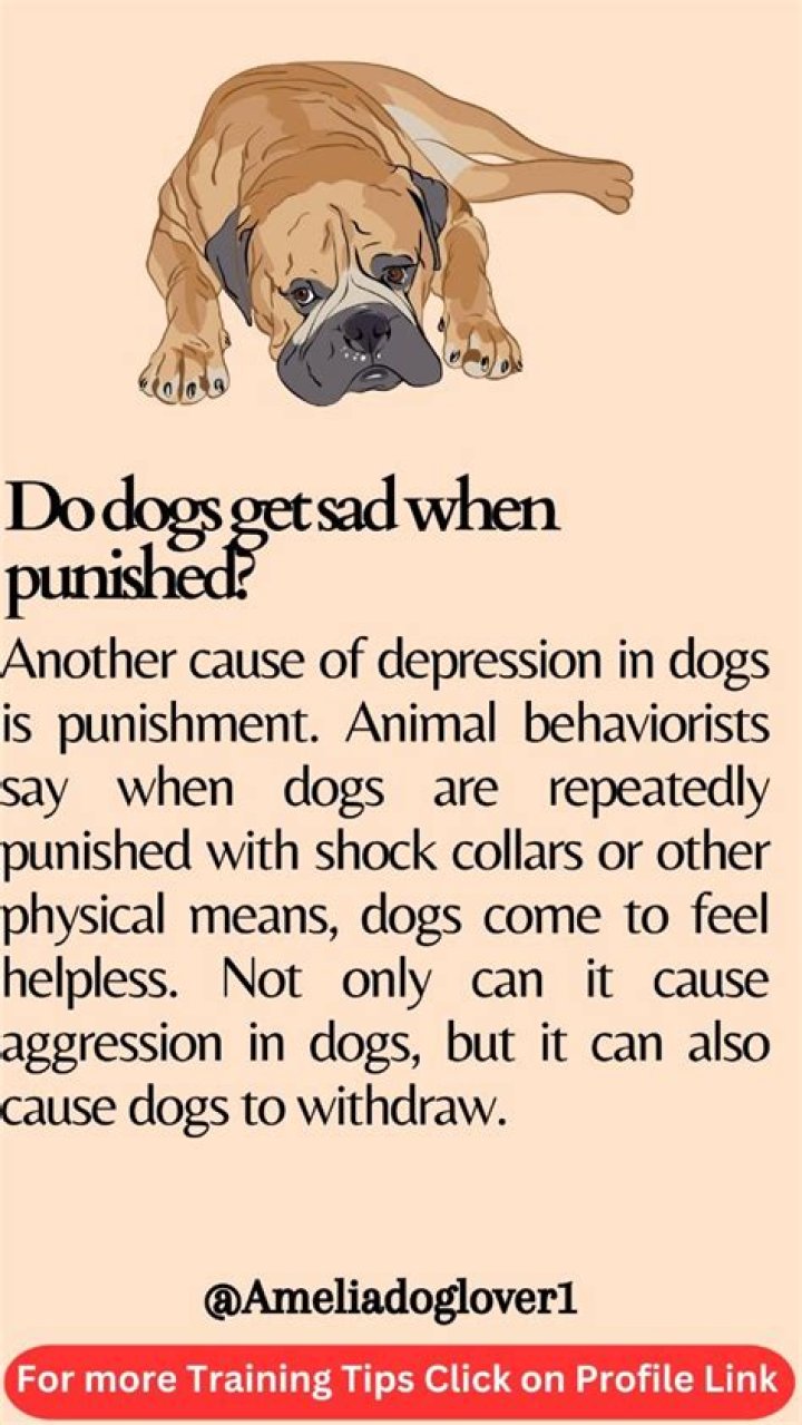 Do dogs get sad when punished?