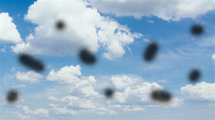 Do floaters stay forever?