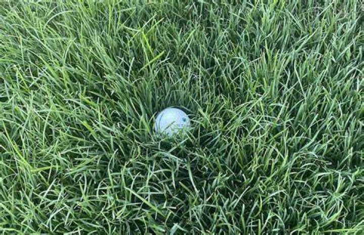 Do I have to look for a lost golf ball?