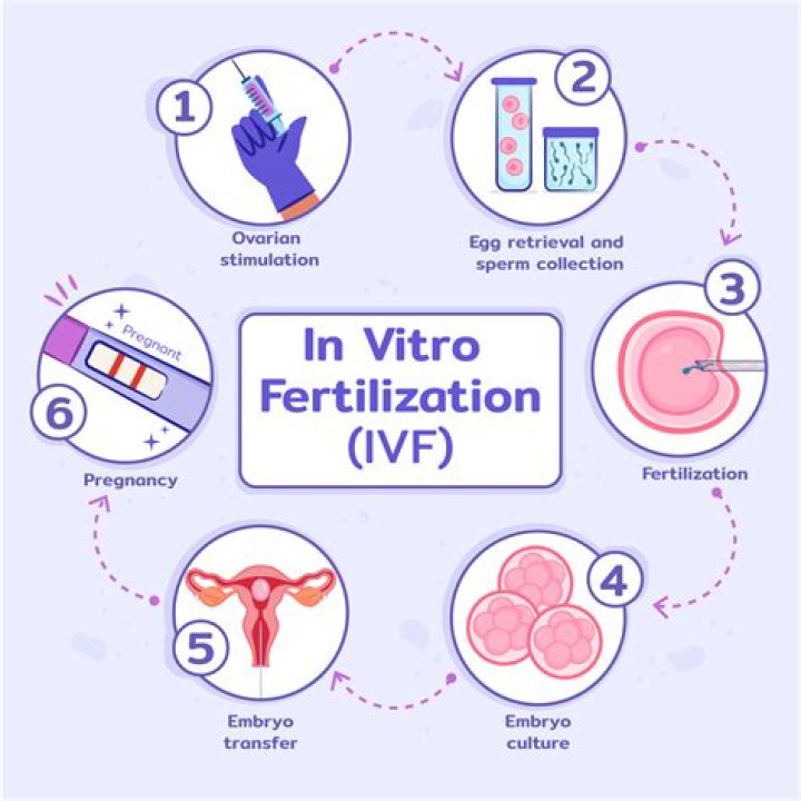 Do IVF babies develop faster?