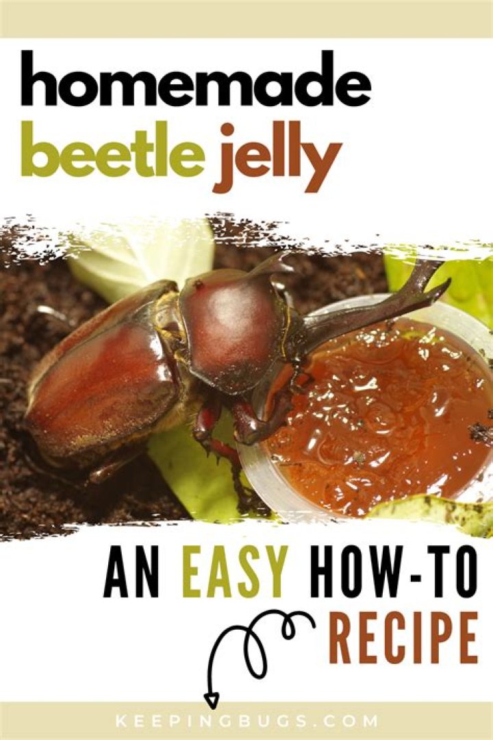 Do jelly beans have beetle?