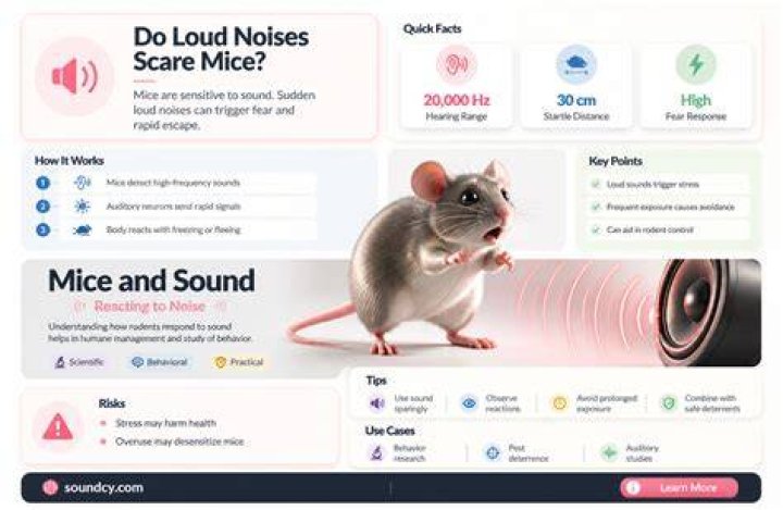 Do loud noises scare mice?