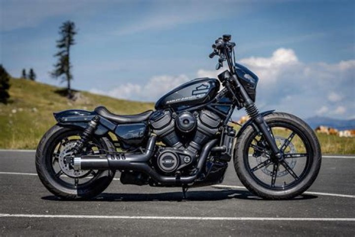 Do millennials buy Harleys?