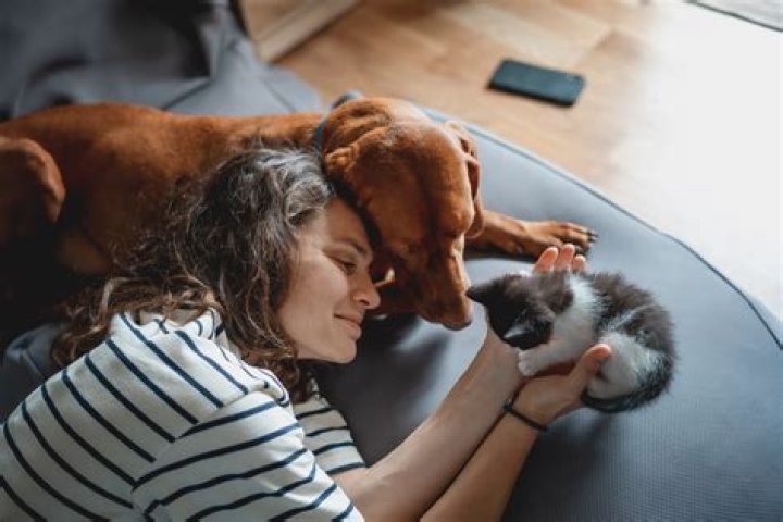Do pet owners make better parents?