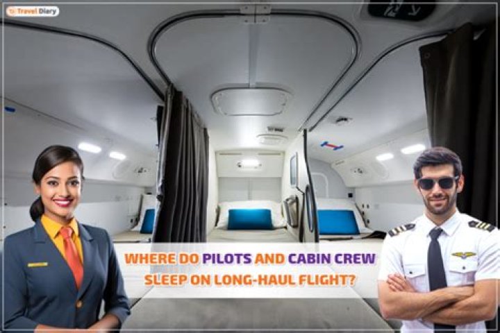 Do pilots sleep on long flights?