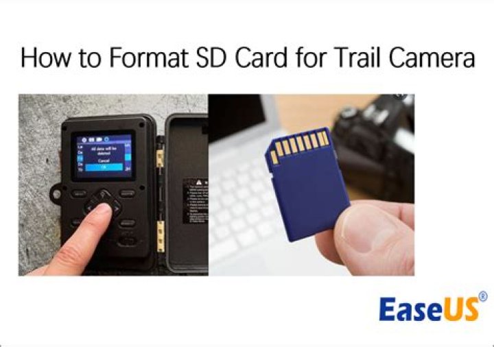Do SD cards work on any camera?