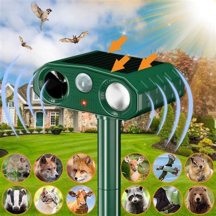 Do ultrasonic pest repeller bats work?